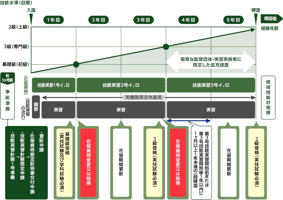 技能実習